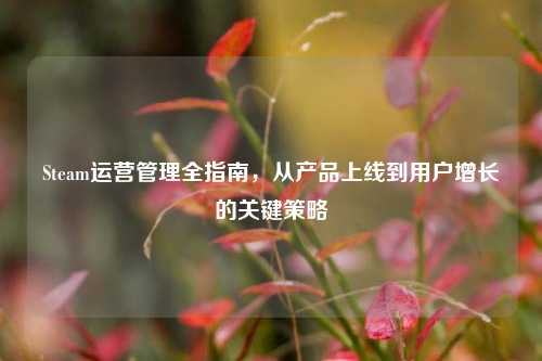 Steam运营管理全指南,从产品上线到用户增长的关键策略