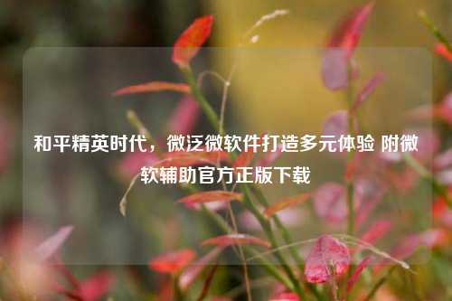 和平精英时代，微泛微软件打造多元体验 附微软辅助官方正版下载