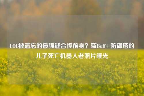 LOL被遗忘的最强缝合怪前身？蓝Buff+防御塔的儿子死亡机器人老照片曝光