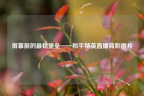 屏幕前的最稳堡垒——和平精英直播背影图片