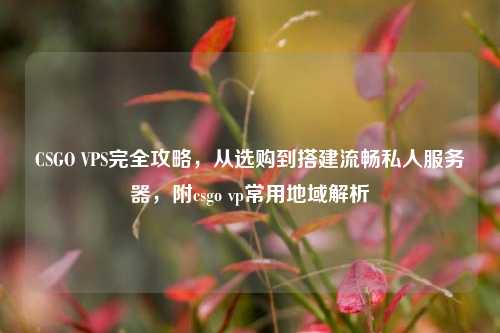 CSGO VPS完全攻略，从选购到搭建流畅私人服务器，附csgo vp常用地域解析