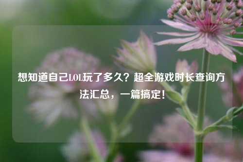 想知道自己LOL玩了多久?超全游戏时长查询方法汇总,一篇搞定!