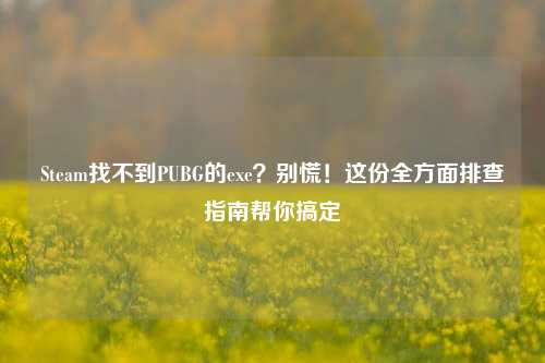 Steam找不到PUBG的exe？别慌！这份全方面排查指南帮你搞定