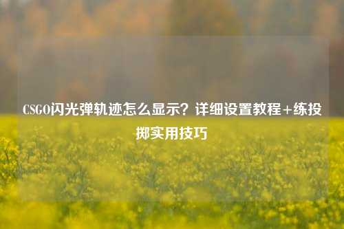 CSGO闪光弹轨迹怎么显示?详细设置教程+练投掷实用技巧