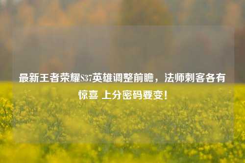 最新王者荣耀S37英雄调整前瞻，法师刺客各有惊喜 上分密码要变！