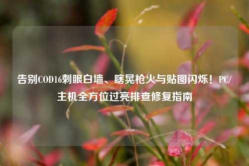 告别COD16刺眼白墙、瞎晃枪火与贴图闪烁！PC/主机全方位过亮排查修复指南