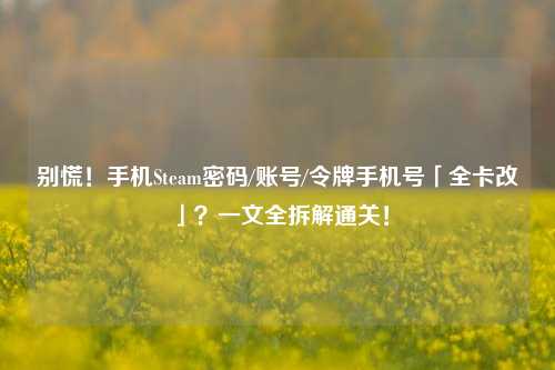 别慌！手机Steam密码/账号/令牌手机号「全卡改」？一文全拆解通关！
