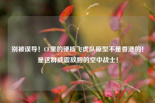 别被误导！CF里的硬核飞虎队原型不是香港的！是这群威震敌胆的空中战士！