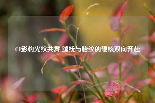 CF影豹光纹共舞 膛线与胎纹的硬核双向奔赴