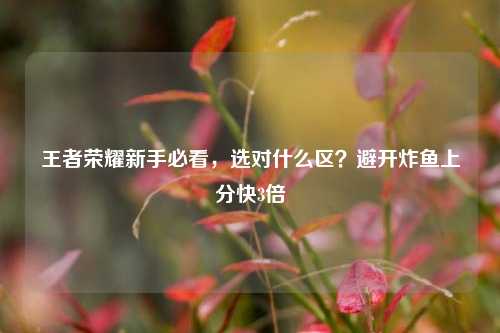 王者荣耀新手必看，选对什么区？避开炸鱼上分快3倍