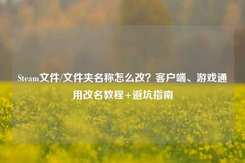 Steam文件/文件夹名称怎么改？客户端、游戏通用改名教程+避坑指南