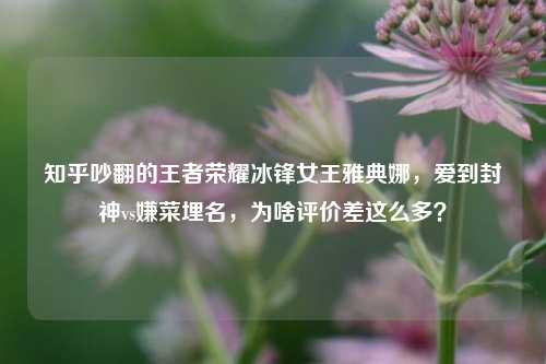 知乎吵翻的王者荣耀冰锋女王雅典娜，爱到封神vs嫌菜埋名，为啥评价差这么多？