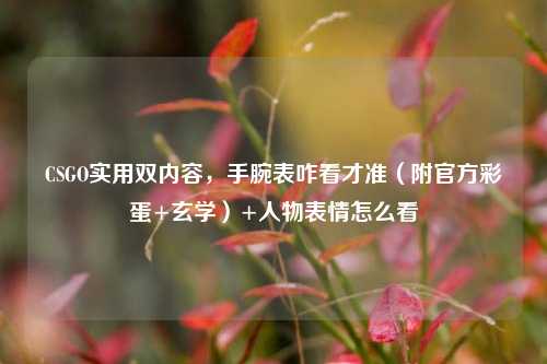 CSGO实用双内容，手腕表咋看才准（附官方彩蛋+玄学）+人物表情怎么看
