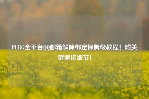 PUBG全平台QQ邮箱解除绑定保姆级教程！附关键避坑细节！
