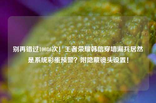 别再错过10086次！王者荣耀韩信穿墙漏兵居然是系统彩蛋预警？附隐藏镜头设置！