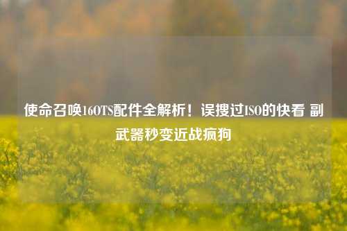 使命召唤16OTS配件全解析！误搜过ISO的快看 副武器秒变近战疯狗