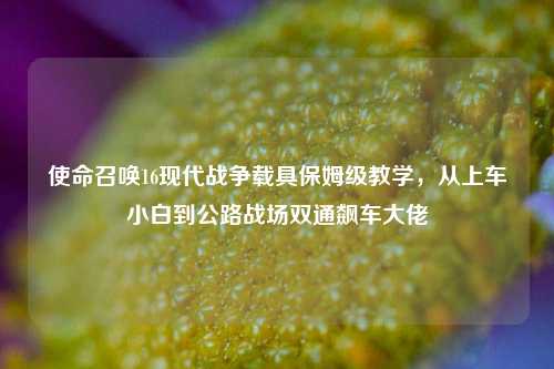 使命召唤16现代战争载具保姆级教学，从上车小白到公路战场双通飙车大佬