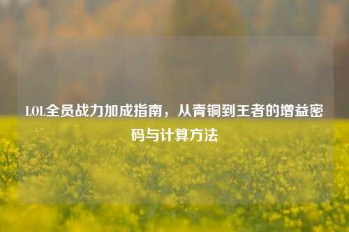 LOL全员战力加成指南,从青铜到王者的增益密码与计算方法