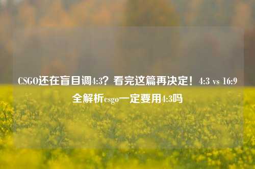 CSGO还在盲目调4:3?看完这篇再决定!4:3 vs 16:9全解析csgo一定要用4:3吗
