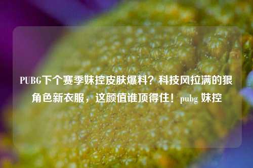 PUBG下个赛季妹控皮肤爆料?科技风拉满的狠角色新衣服,这颜值谁顶得住!pubg 妹控