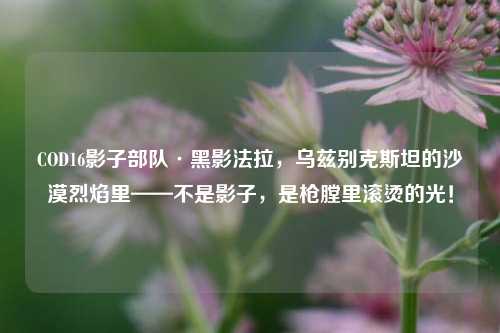 COD16影子部队·黑影法拉,乌兹别克斯坦的沙漠烈焰里——不是影子,是枪膛里滚烫的光!