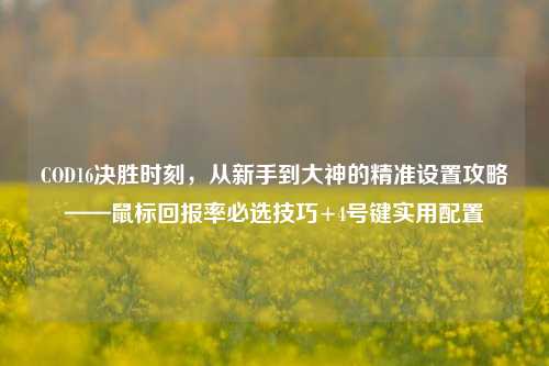 COD16决胜时刻,从新手到大神的精准设置攻略——鼠标回报率必选技巧+4号键实用配置