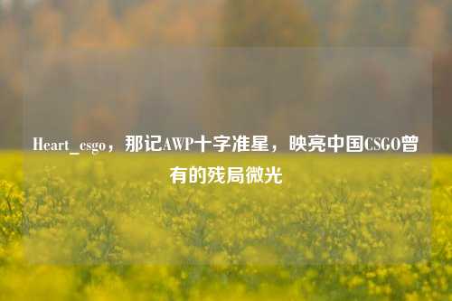 Heart_csgo,那记AWP十字准星,映亮中国CSGO曾有的残局微光