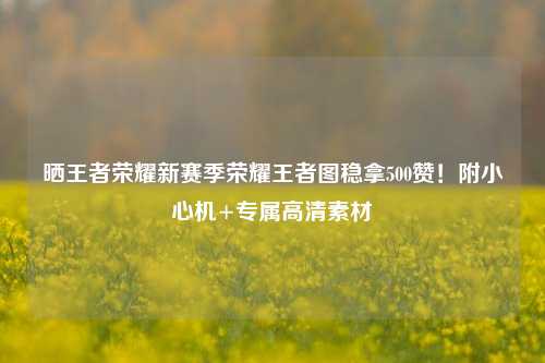 晒王者荣耀新赛季荣耀王者图稳拿500赞!附小心机+专属高清素材