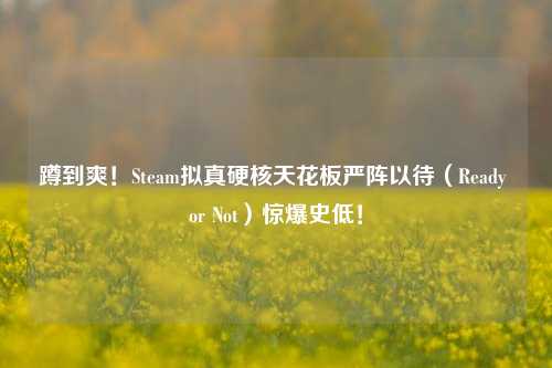 蹲到爽!Steam拟真硬核天花板严阵以待(Ready or Not)惊爆史低!