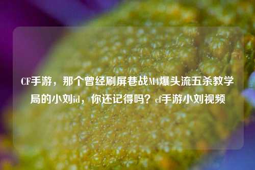 CF手游,那个曾经刷屏巷战M4爆头流五杀教学局的小刘id,你还记得吗?cf手游小刘视频