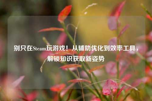 别只在Steam玩游戏!从辅助优化到效率工具,解锁知识获取新姿势