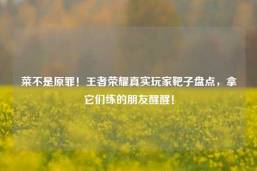 菜不是原罪!王者荣耀真实玩家靶子盘点,拿它们练的朋友醒醒!