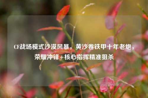 CF战场模式沙漠风暴,黄沙卷铁甲十年老炮,荣耀冲锋+核心指挥精准狙杀