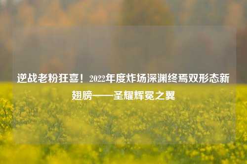 逆战老粉狂喜！2022年度炸场深渊终焉双形态新翅膀——圣耀辉冕之翼