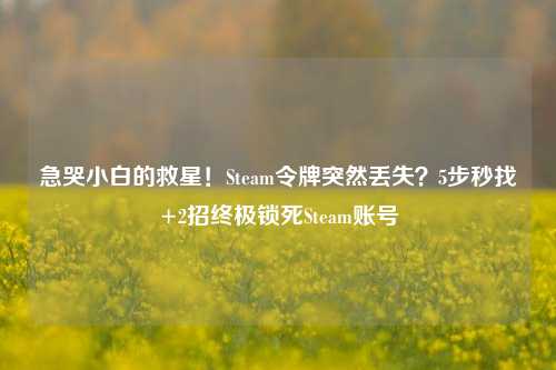 急哭小白的救星！Steam令牌突然丢失？5步秒找+2招终极锁死Steam账号