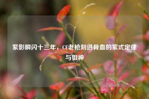紫影瞬闪十三年,CF老枪刻进骨血的紫式定律与狙神