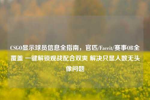 CSGO显示球员信息全指南,官匹/Faceit/赛事OB全覆盖 一键解锁观战配合双爽 解决只显人数无头像问题
