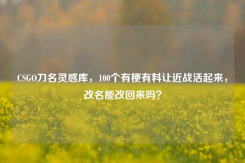 CSGO刀名灵感库,100个有梗有料让近战活起来,改名能改回来吗?