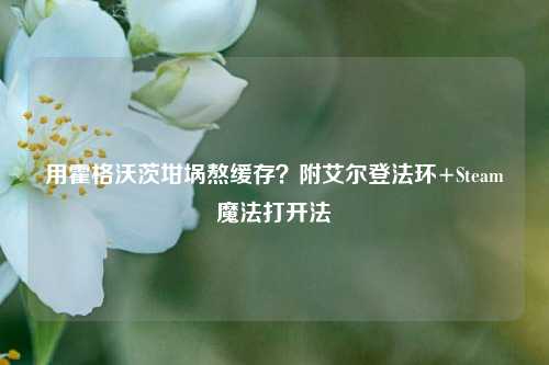 用霍格沃茨坩埚熬缓存?附艾尔登法环+Steam魔法打开法