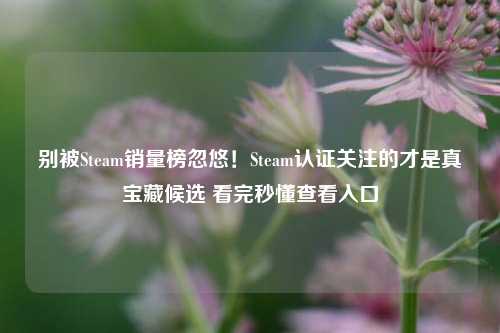 别被Steam销量榜忽悠!Steam认证关注的才是真宝藏候选 看完秒懂查看入口