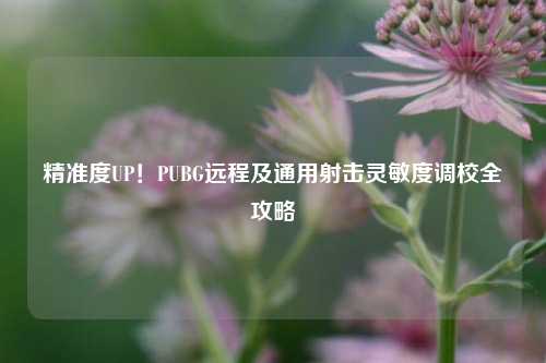 精准度UP！PUBG远程及通用射击灵敏度调校全攻略