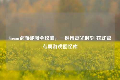 Steam桌面截图全攻略,一键留高光时刻 花式管专属游戏回忆库