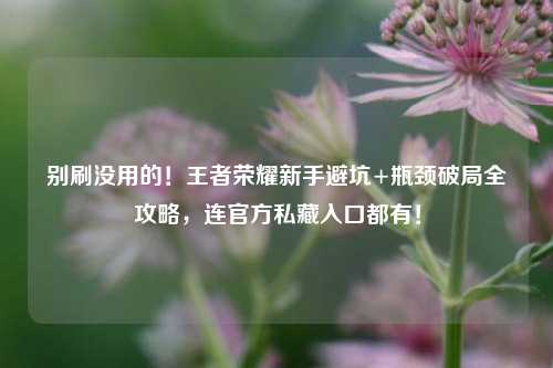 别刷没用的！王者荣耀新手避坑+瓶颈破局全攻略，连官方私藏入口都有！
