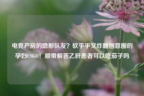 电竞产房的隐形队友?软乎乎又炸翻创意圈的孕妇CSGO!顺带解答乙肝患者可以吃茄子吗