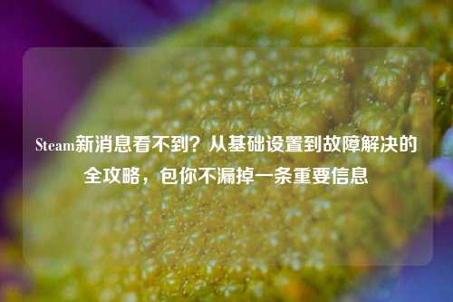 Steam新消息看不到?从基础设置到故障解决的全攻略,包你不漏掉一条重要信息