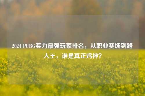 2024 PUBG实力最强玩家排名,从职业赛场到路人王,谁是真正鸡神?