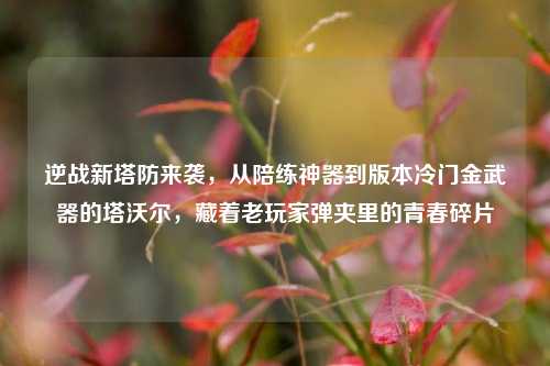 逆战新塔防来袭，从陪练神器到版本冷门金武器的塔沃尔，藏着老玩家弹夹里的青春碎片