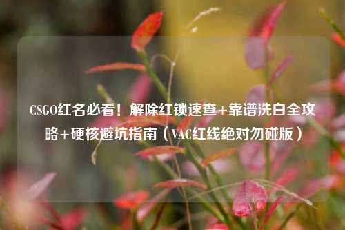 CSGO红名必看！解除红锁速查+靠谱洗白全攻略+硬核避坑指南（VAC红线绝对勿碰版）