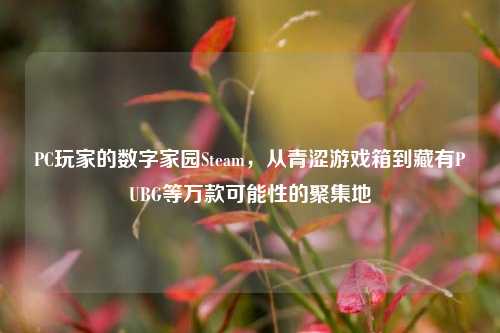PC玩家的数字家园Steam，从青涩游戏箱到藏有PUBG等万款可能性的聚集地