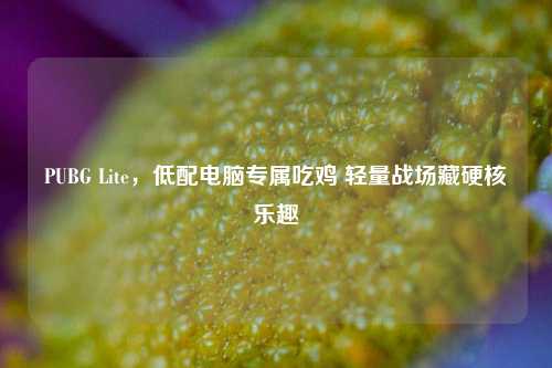 PUBG Lite,低配电脑专属吃鸡 轻量战场藏硬核乐趣